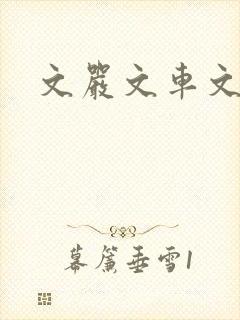 文严文车文