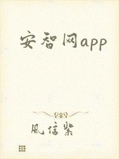 安智网app