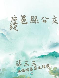 鹿邑县公交车路线