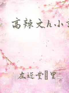 高辣文h小说网