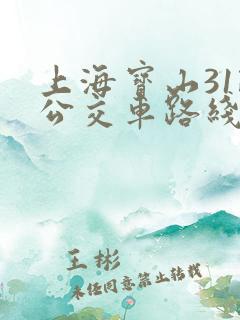 上海宝山31路公交车路线图