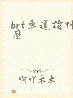 brt车道指什么