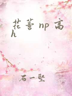花蒂 np 高h