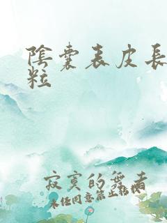阴囊表皮长小肉粒