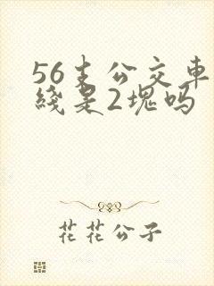 56支公交车路线是2块吗 56支公交车路线是2块吗