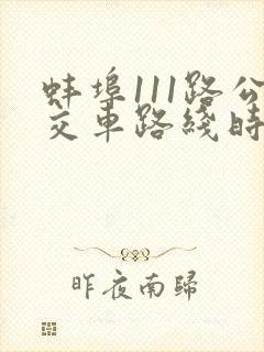 蚌埠111路公交车路线时间表查询