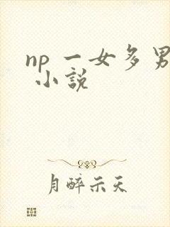 np 一女多男 小说