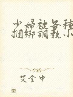 少妇被各种姿势捆绑调教小说