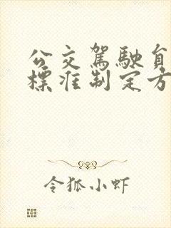公交驾驶员工资标准制定方案