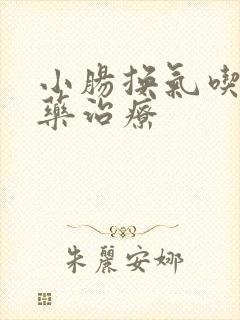 小肠换气吃什么药治疗
