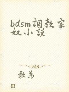 bdsm调教家奴小说