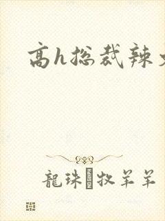 高h总裁辣文
