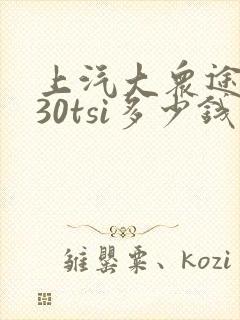 上汽大众途昂330tsi多少钱