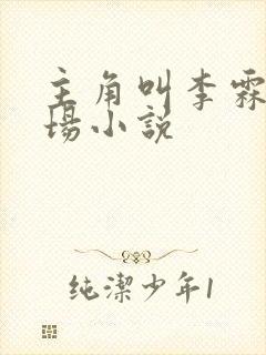 主角叫李霖的官场小说