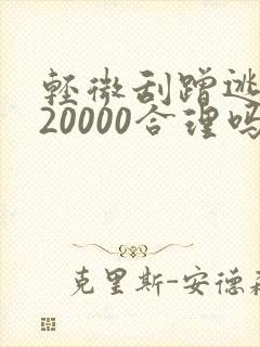 轻微刮蹭逃逸赔20000合理吗