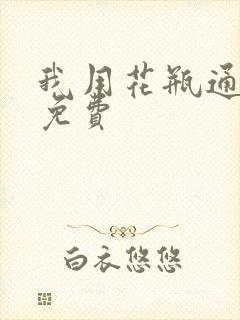 我用花瓶通古今免费