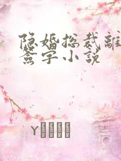 隐婚总裁离婚请签字小说