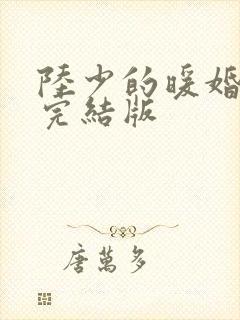 陆少的暖婚新妻完结版