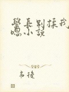 学长别揉我胸啊嗯小说