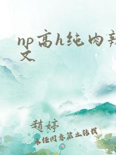 np高h纯肉辣文