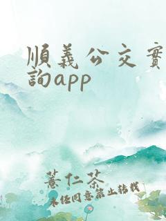 顺义公交实时查询app
