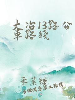 大冶13路公交车路线