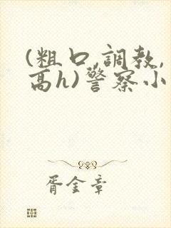(粗口,调教,高h)警察小说