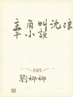 主角叫沈浪徐芊芊小说