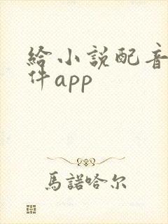 给小说配音的软件app
