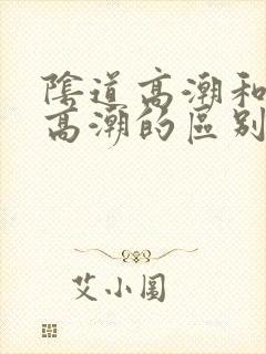 阴道高潮和阴蒂高潮的区别