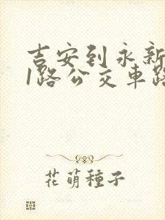 吉安到永新801路公交车路线