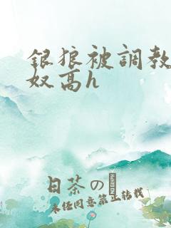 银狼被调教成肉奴高h