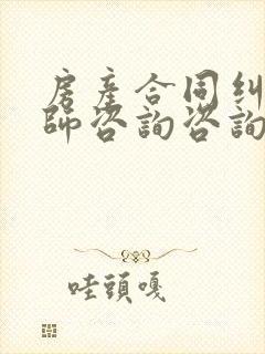 房产合同纠纷律师咨询咨询 房产合同纠纷律师咨询咨询