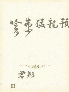 哈弗猛龙预售价多少