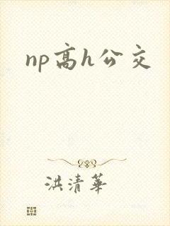 np高h公交