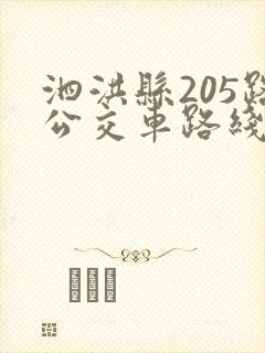 泗洪县205路公交车路线图