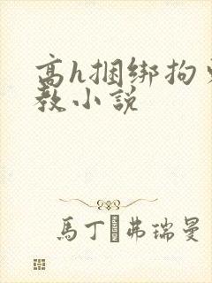 高h捆绑拘束调教小说