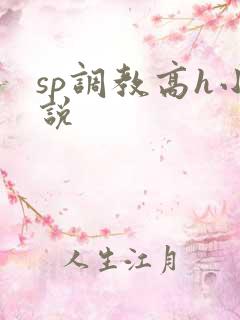 sp调教高h小说