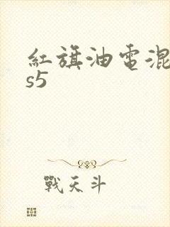 红旗油电混动hs5