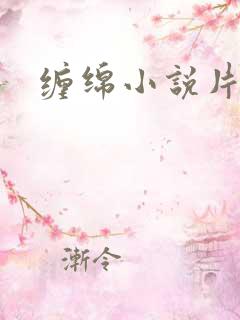 缠绵小说片段