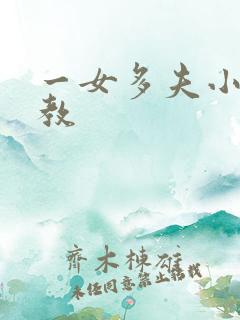 一女多夫小说调教