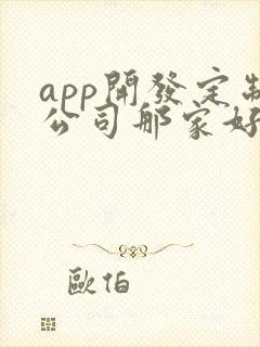 app开发定制公司那家好