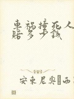 车祸撞死人一般赔多少钱