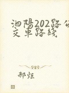 泗阳202路公交车路线