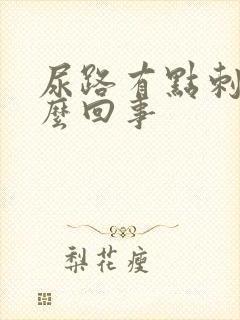 尿路有点刺痛怎么回事