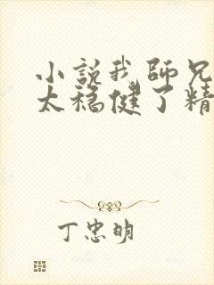 小说我师兄实在太稳健了精校版