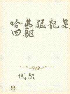 哈弗猛龙是哪种四驱