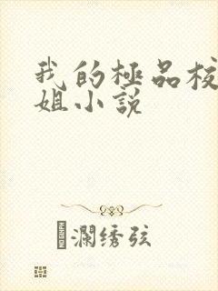 我的极品校花姐姐小说