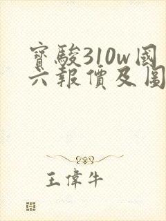 宝骏310w国六报价及图片