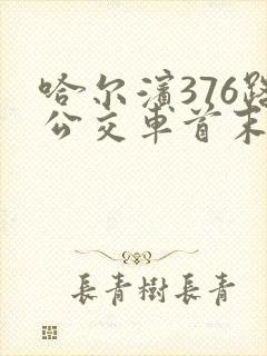 哈尔滨376路公交车首末车时间